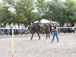 IMG_1371_web